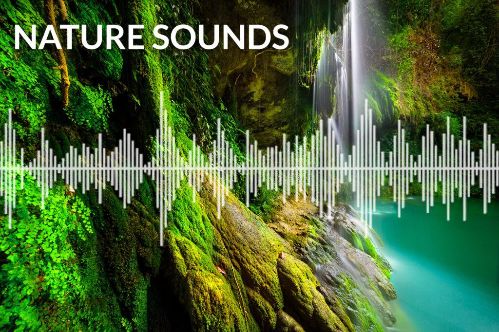 nature sounds